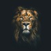 _Magic_Design