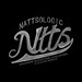 Nattsologic