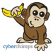 CyberChimps Themes
