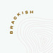 Brackish Creative