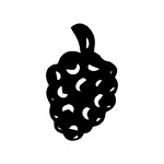 Mulberry Productions