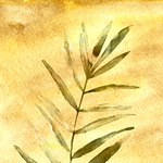 HSk Art
