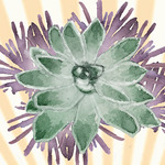 Digital Paperie