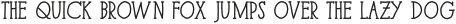 Paris Serif ExtraBlack otf (900)