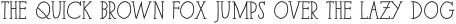 Paris Serif Medium otf (500)