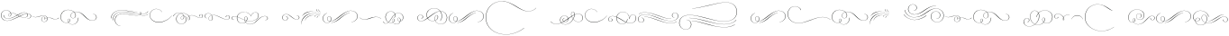 VVDS Dickens Tale Script Swirls otf (400)