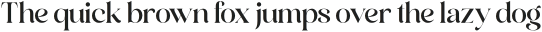 Andora Modern Serif otf (400)