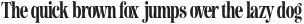Newsagent Regular otf (400)