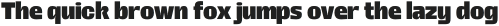 Rogy ExtraBold otf (700)