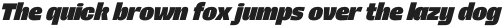 Rogy Black Italic otf (900)
