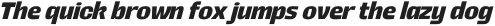 Rogy Bold Italic otf (700)