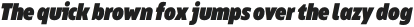 Bion Black Cond Italic otf (900)