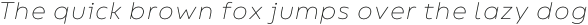 Bion Thin Italic otf (100)