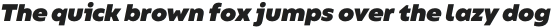 Bion Heavy Italic otf (800)