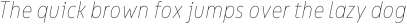 Bion Hairline Cond Italic otf (100)
