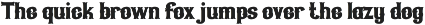 Qiduwy – Blackletter Font preview