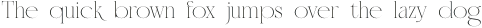 NTEpikaThin otf (100)