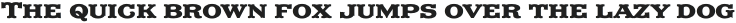 EFCO Rodwig Extrabold otf (700) Sample