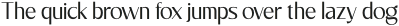 Ramus Sans Light otf (300)