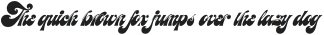 Meastro Script otf (400)