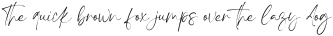 Rowan Script otf (400)