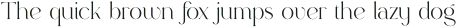 Rowan 2 Styled otf (400)