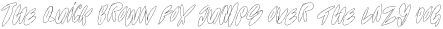 Bish Raw Scribble otf (400)