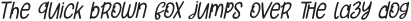 Orange Cats Thin Italic otf (100)