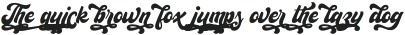 Analog Script Swash otf (400)