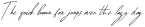 Alpha Danthe Italic otf (400)