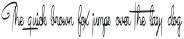 Bundey Script Black otf (900)