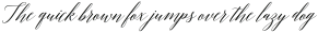 AdeliciaScriptRough otf (400)