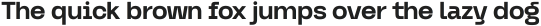 Graftyne Display Extra Light ttf (200)
