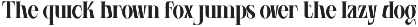 Agvone - Display Font font preview