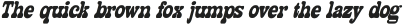 Seleborcondensedrounded-Obliq otf (400)