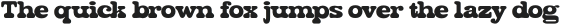SeleborRounded-Regular otf (400)