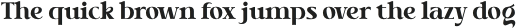 Tabernae Montana Serif otf (400)