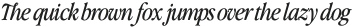 The Picnic Club Italic otf (400)