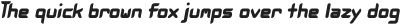 NAMELOC Bold Italic otf (700)