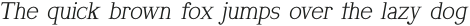 NamelocSerif Italic otf (400)