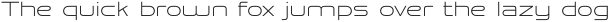 Golden Grotesque Light otf (300)
