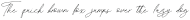 SecondSignature-Regular otf (400)