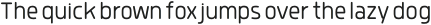 Quan Pro R Slim Light otf (300)