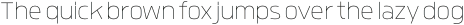 Quan Pro Thin otf (100)