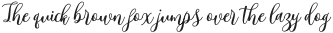 Arieteline Script Bold otf (700)