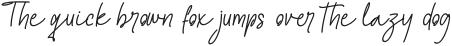 ExecutiveBossScript-Italic otf (400)