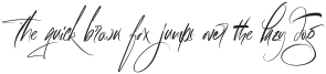 Parte Handwritten Regular otf (400)