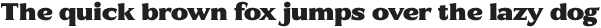 BD Gitalona Flick Black otf (900)