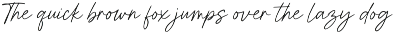 Roshely Casual Script font preview
