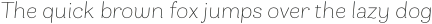 Bakewell Thin Italic otf (100)